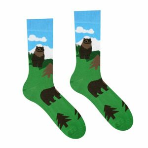 Hesty Veselé ponožky Medvěd Velikost: 35-38