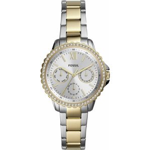 Hodinky Fossil Izzy ES4784 Gold/Silver