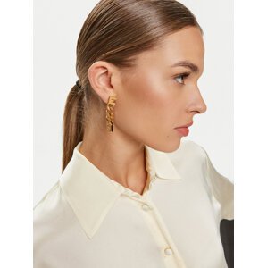 Naušnice Elisabetta Franchi OR-13K-46E2-V210 Zlatá