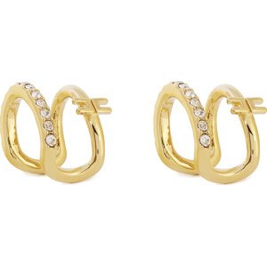 Náušnice Elisabetta Franchi OR-03A-46E2-V160 Zlatá