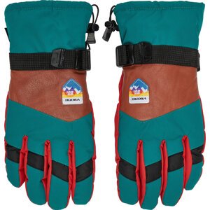 Lyžařské rukavice Viking Brother Louis Ski 110/24/6226 Barevná