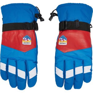 Lyžařské rukavice Viking Brother Louis Ski 110/24/6226/9934 Barevná