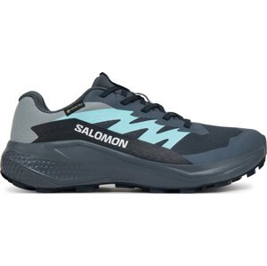 Běžecké boty Salomon Alphaglide Gore-Tex L47802500 Šedá