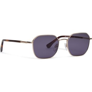 Sluneční brýle Barbour BA8115C3 Hnědá