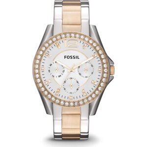 Hodinky Fossil Riley ES3204 2T Silver/Gold