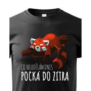 Dětské tričko Co neudělám dnes, počká do zítra