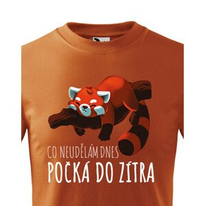 Dětské tričko Co neudělám dnes, počká do zítra